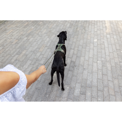 Curli Vario Comfort Leash Black L