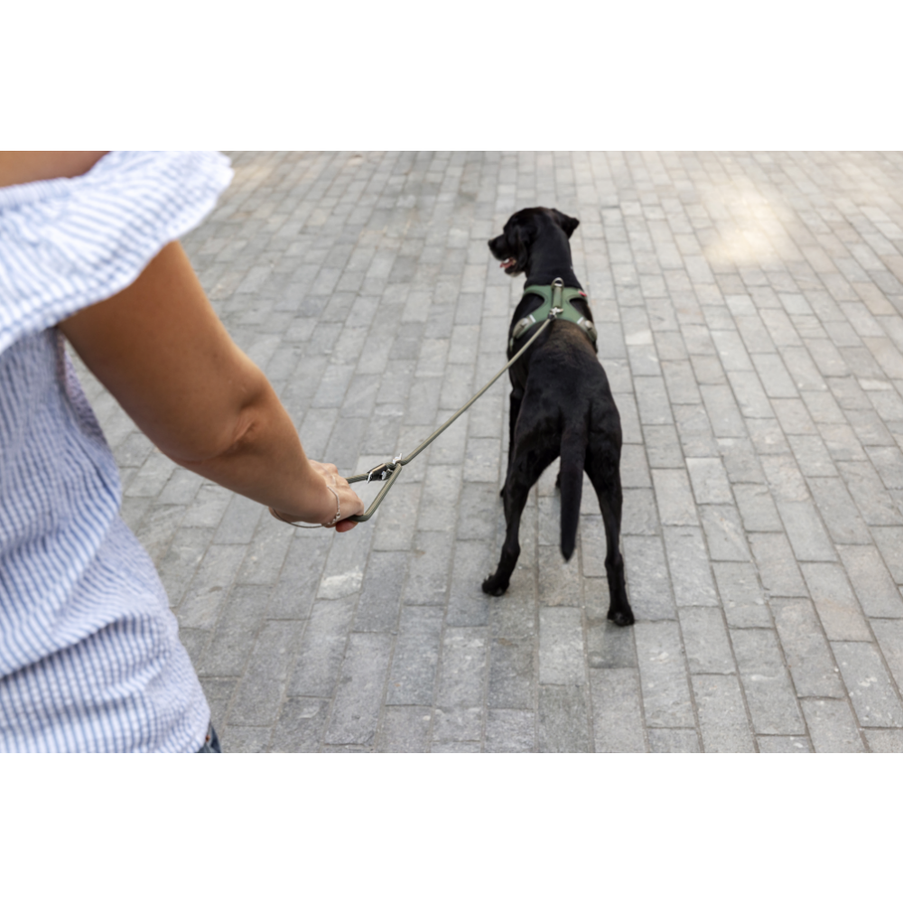 Curli Vario Comfort Leash Ruby S
