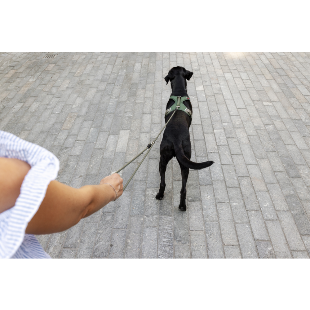 Curli Vario Comfort Leash Ruby S