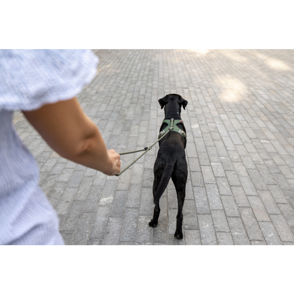 Curli Vario Comfort Leash Ruby S