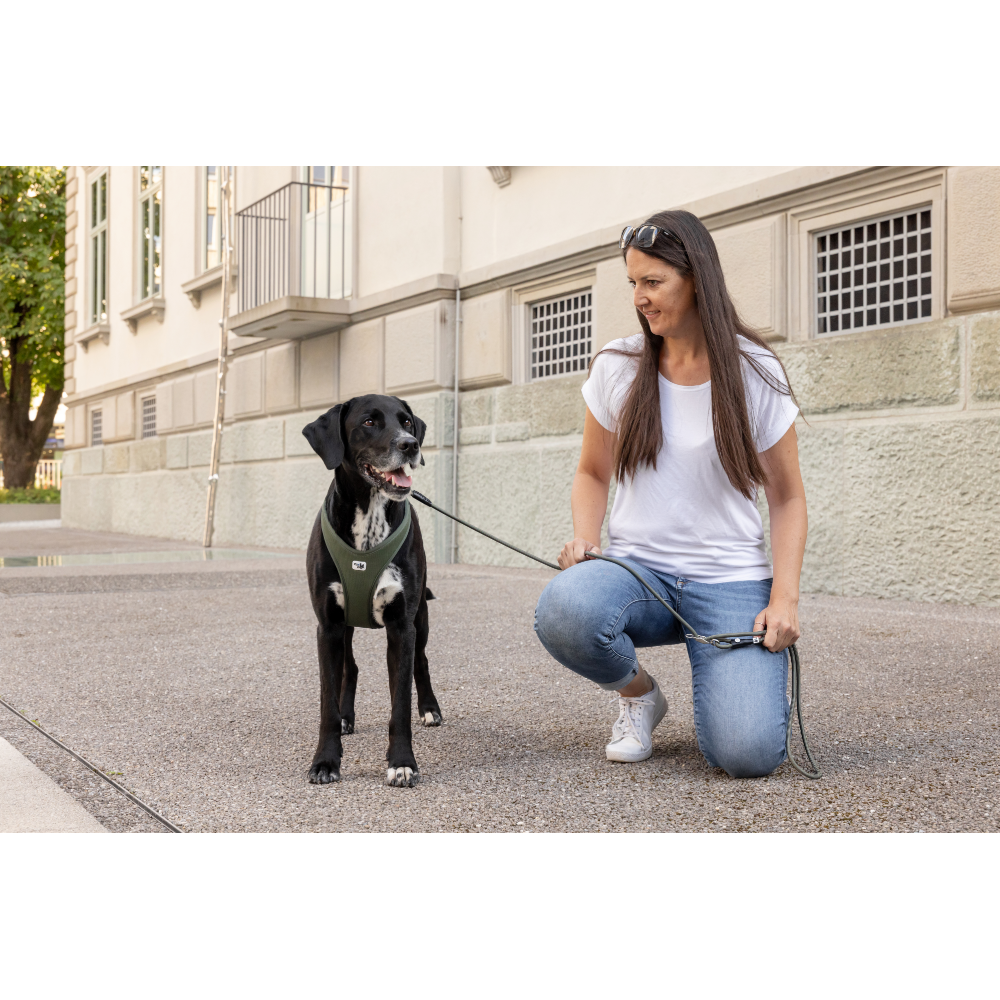 Curli Vario Comfort Leash Ruby S