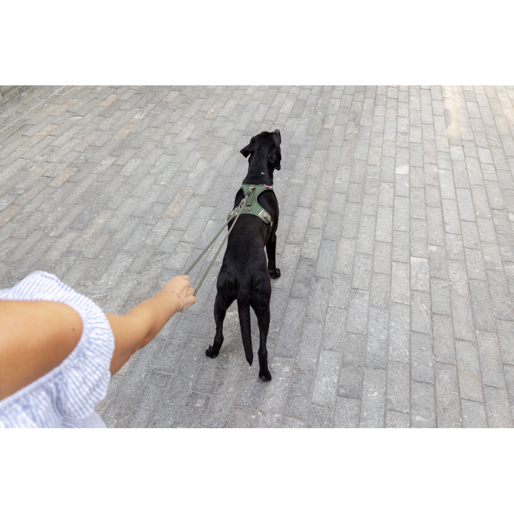 Curli Vario Comfort Leash Blue S