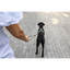 Curli Vario Comfort Leash Blue S