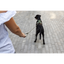 Curli Vario Comfort Leash Light-Tan S