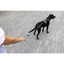 Curli Varıo Comfort Leash Dark-Grey L