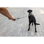 Curli Varıo Comfort Leash Dark-Grey L