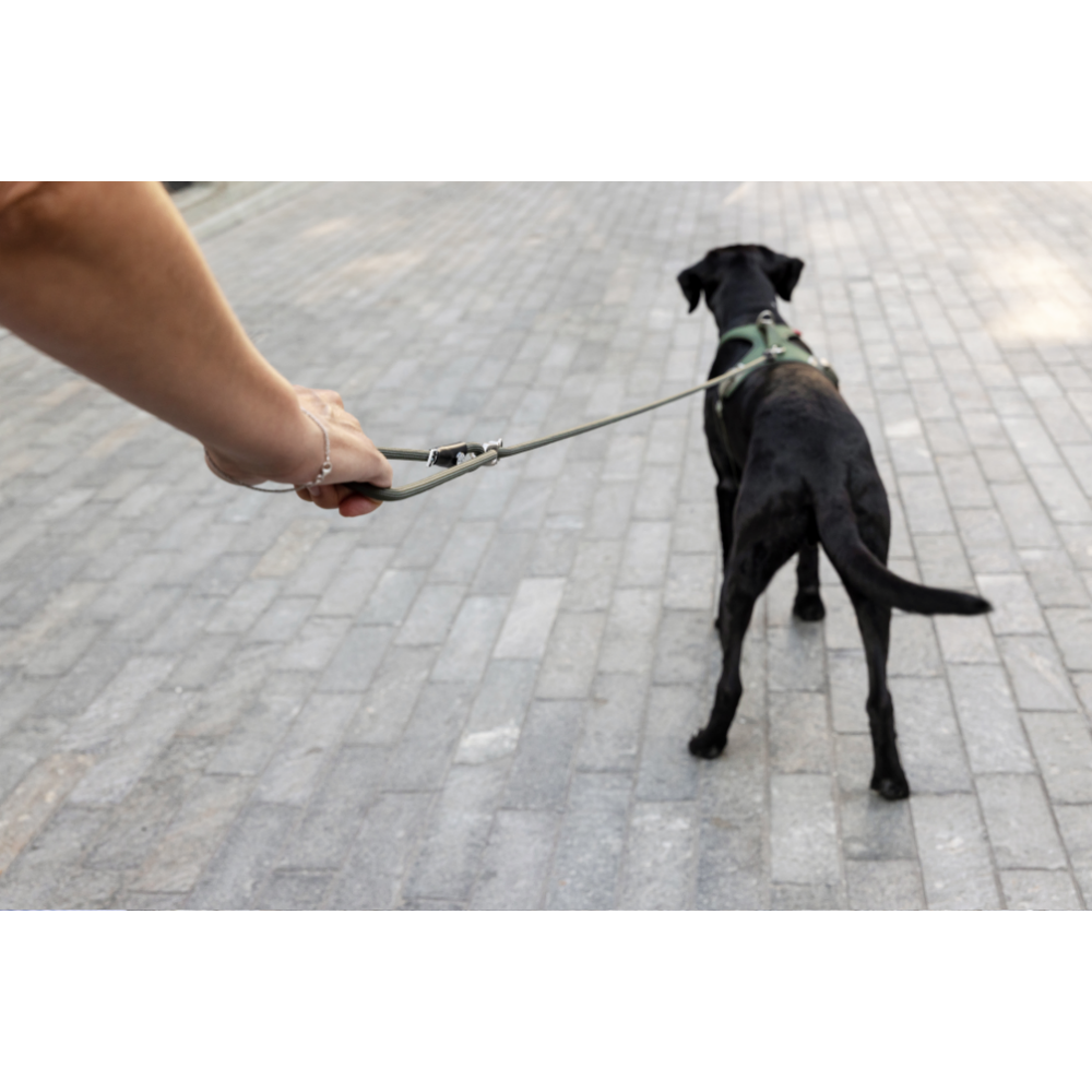 Curli Varıo Comfort Leash Dark-Grey L