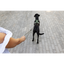 Curli Varıo Comfort Leash Dark-Grey L