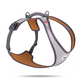 Curli Glow Belka Harness Gray 4XL