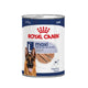 Royal Canin Maxi Adult Yaş Köpek Maması 410gr