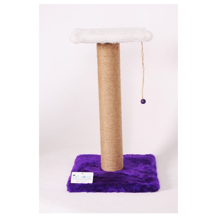 Cat Hause Kedi Tırmalama Tahtası Mor