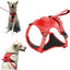 Buddy&Co Ultra Seri Otomatik Göğüs Tasması L Kırmızı