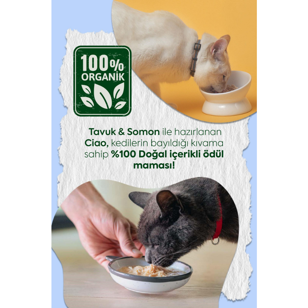Inaba Ciao Chicken Broth Tavuk Sulu ve Somonlu Kedi Çorbası 50 Gr