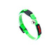 TailPetz Kedi Boyun Tasması Green