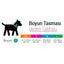 TailPetz Bubbles Boyun Tasması M