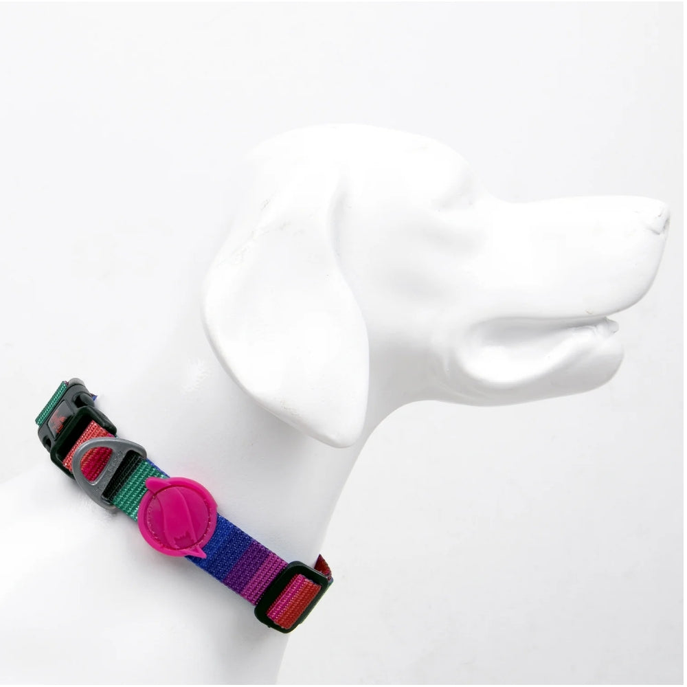TailPetz Wave Boyun Tasması M