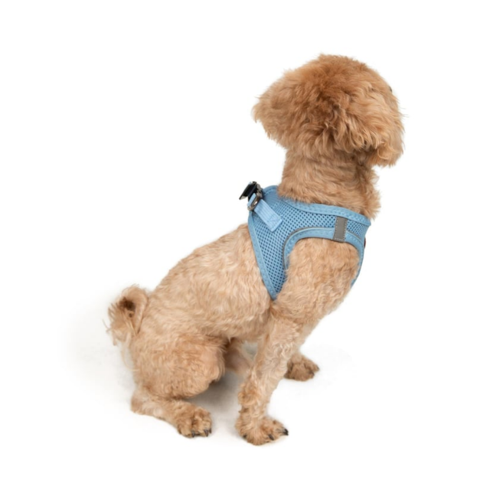 TailPetz Airmesh Blue Köpek Göğüs Tasması 2XS