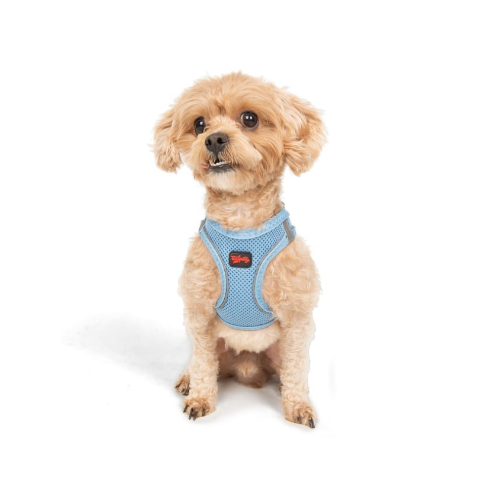 TailPetz Airmesh Blue Köpek Göğüs Tasması 2XS