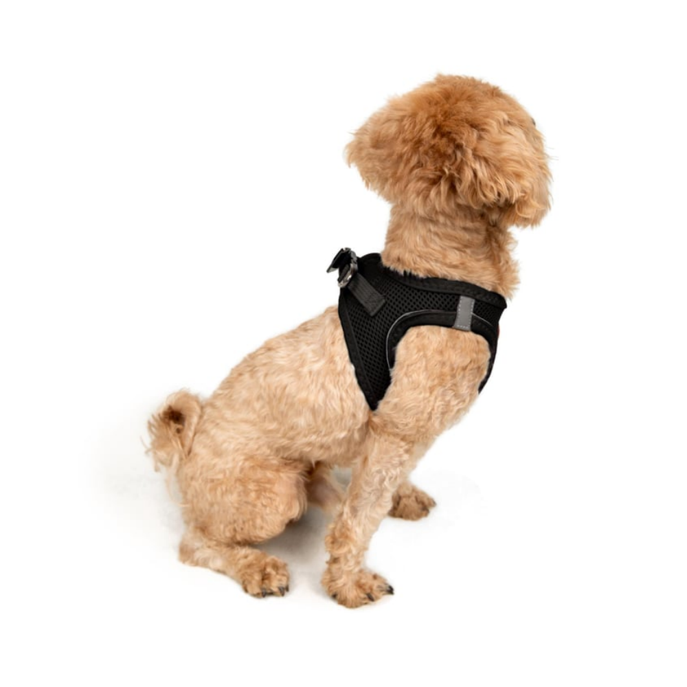 TailPetz Airmesh Black Köpek Göğüs Tasması 2XS