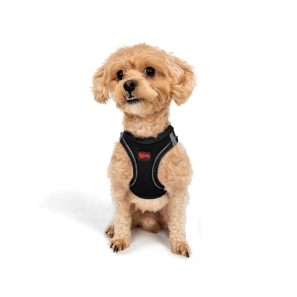 TailPetz Airmesh Black Köpek Göğüs Tasması 3XS