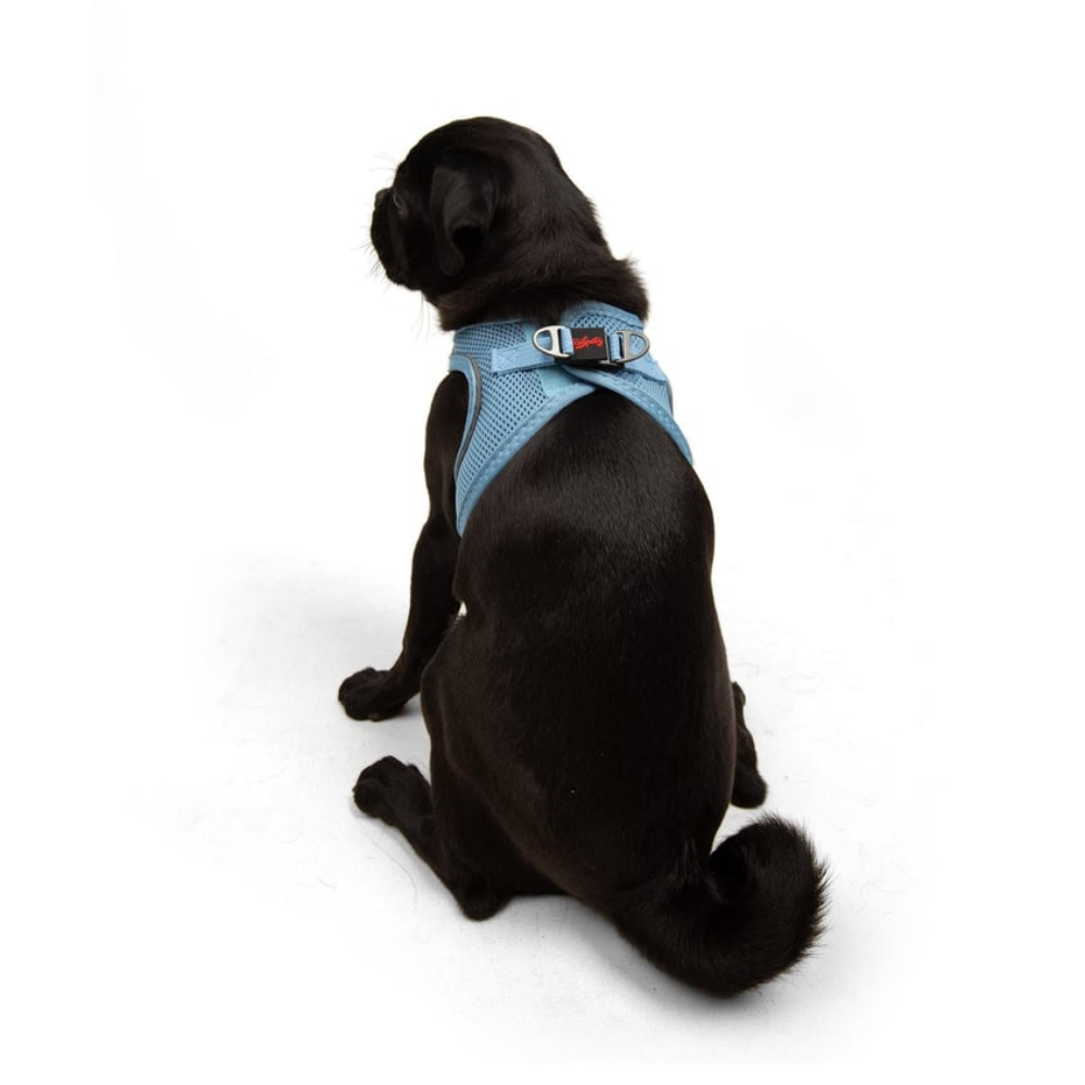 TailPetz Airmesh Blue Köpek Göğüs Tasması M