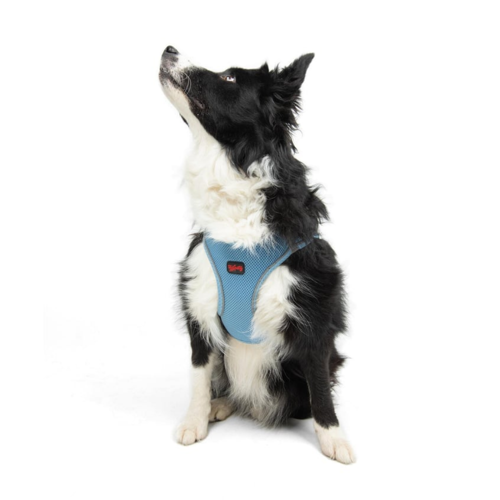 TailPetz Airmesh Blue Köpek Göğüs Tasması XL