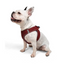 Tailpetz Airmesh Harness Claret Köpek Göğüs Tasması L
