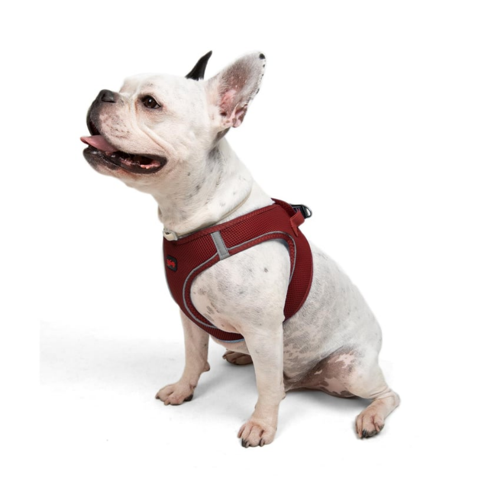 Tailpetz Airmesh Harness Claret Köpek Göğüs Tasması L