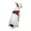 Tailpetz Airmesh Harness Claret Köpek Göğüs Tasması L