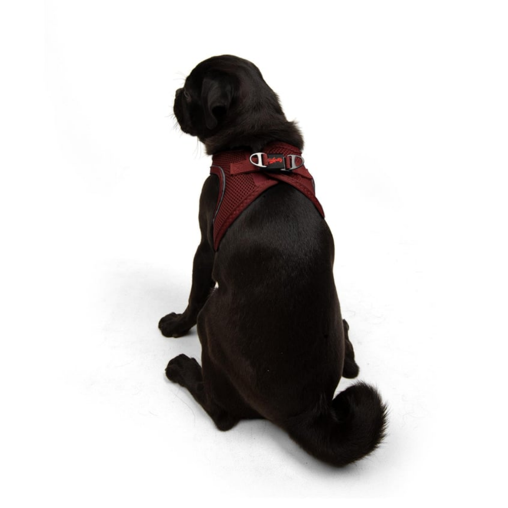 Tailpetz Airmesh Harness Claret Köpek Göğüs Tasması M