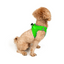 TailPetz Airmesh Neo Green Köpek Göğüs Tasması 3XS