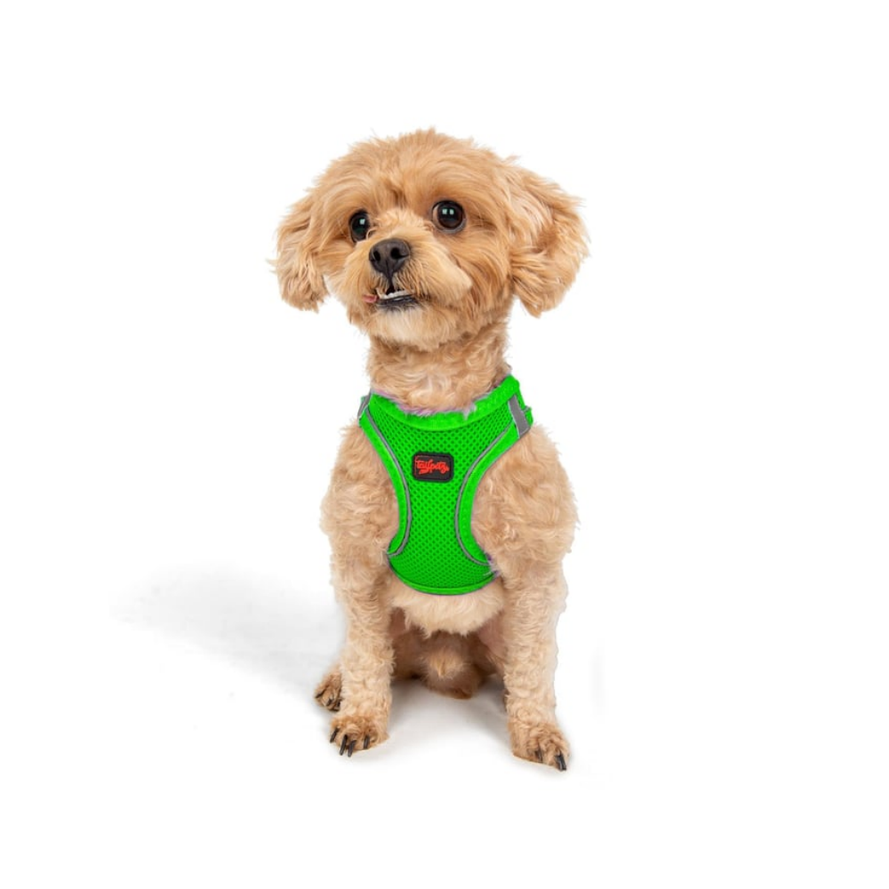 TailPetz Airmesh Neo Green Köpek Göğüs Tasması 3XS