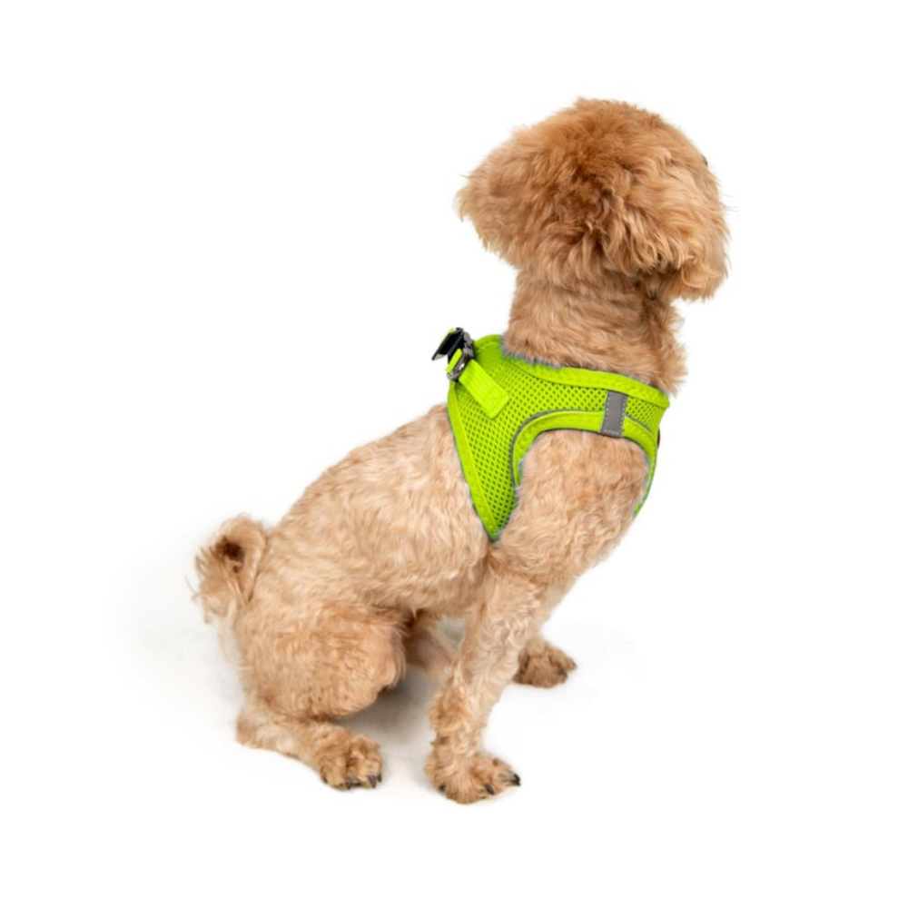 TailPetz Airmesh Neo Lime Köpek Göğüs Tasması 2XS