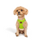 TailPetz Airmesh Neo Lime Köpek Göğüs Tasması 3XS