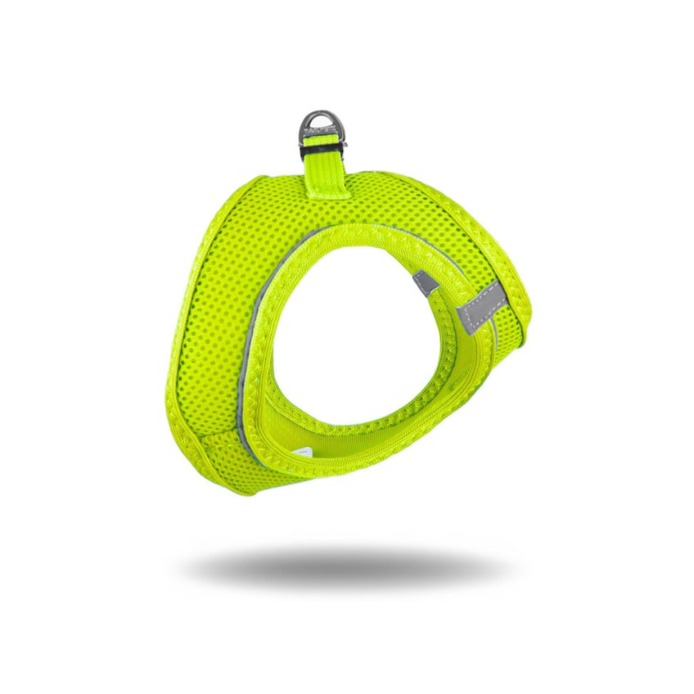 TailPetz Airmesh Neo Lime Köpek Göğüs Tasması XL