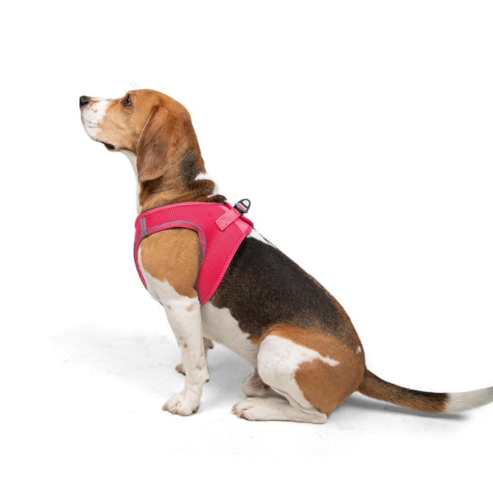 TailPetz Airmesh Neo Pink Köpek Göğüs Tasması L