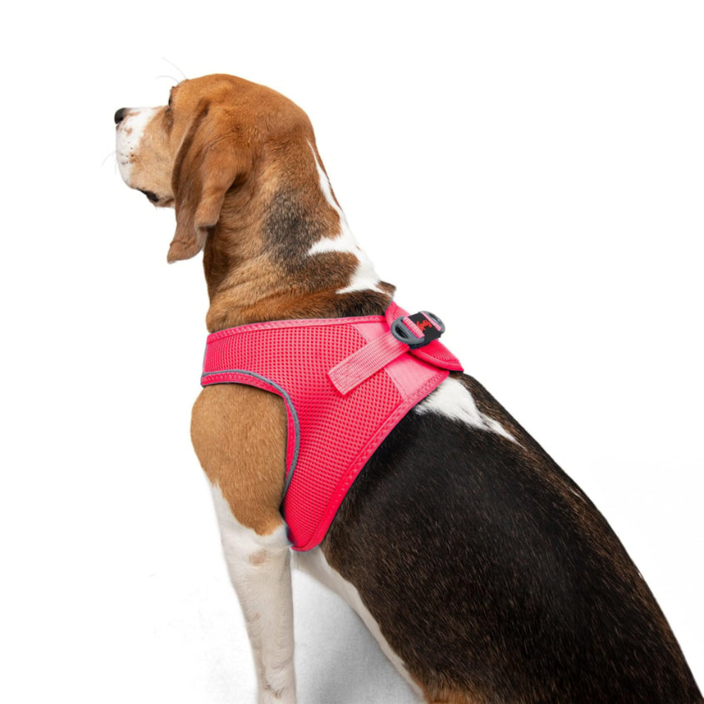 TailPetz Airmesh Neo Pink Köpek Göğüs Tasması L