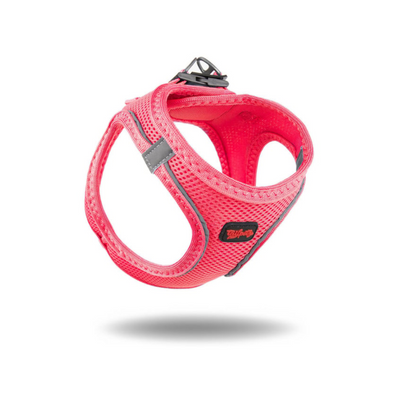 TailPetz Airmesh Neo Pink Köpek Göğüs Tasması L