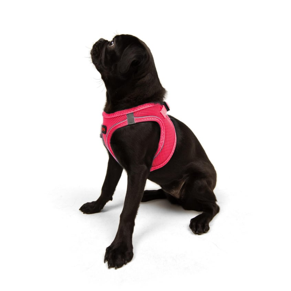 TailPetz Airmesh Neo Pink Köpek Göğüs Tasması M