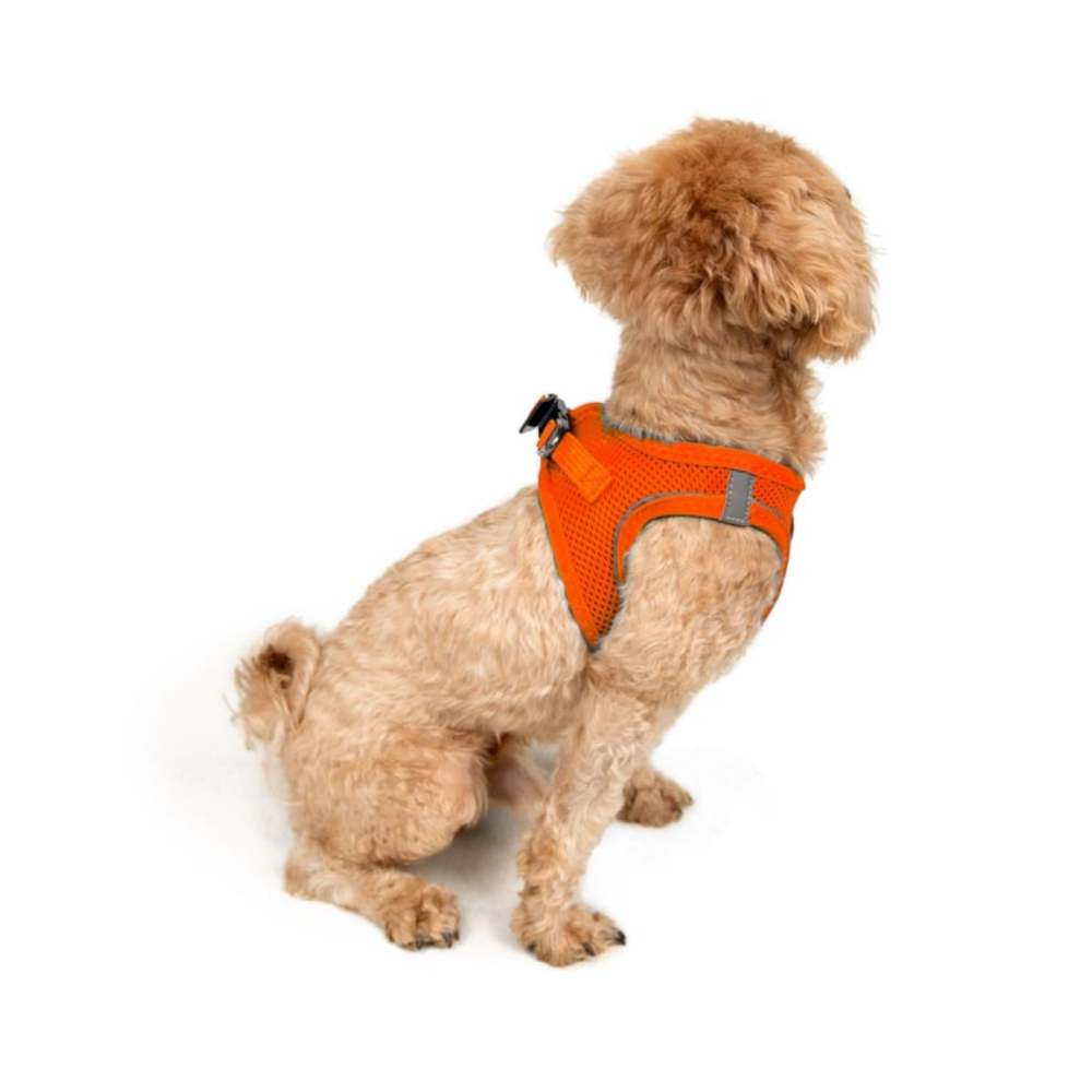 TailPetz Airmesh Neo Orange Köpek Göğüs Tasması 2XS