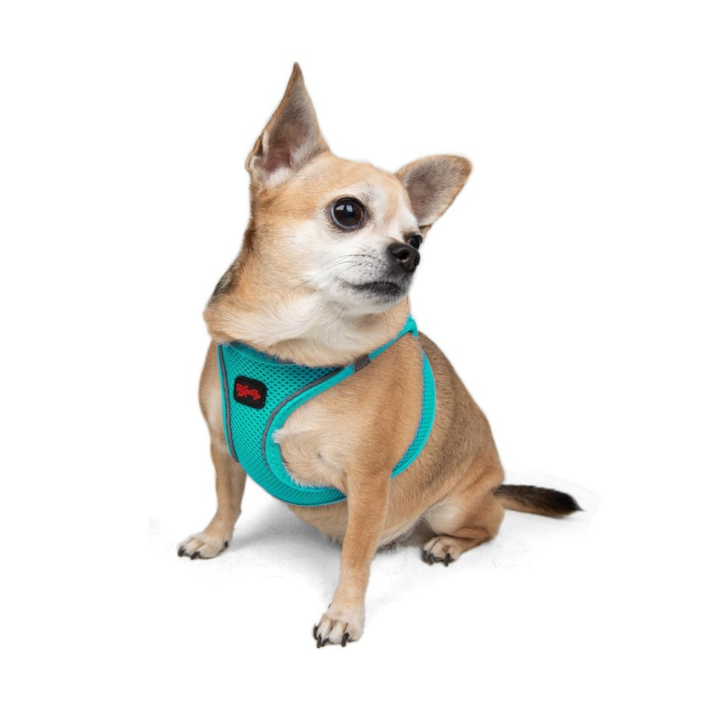 TailPetz Airmesh Ocean Köpek Göğüs Tasması 2XS
