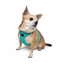 TailPetz Airmesh Ocean Köpek Göğüs Tasması 3XS