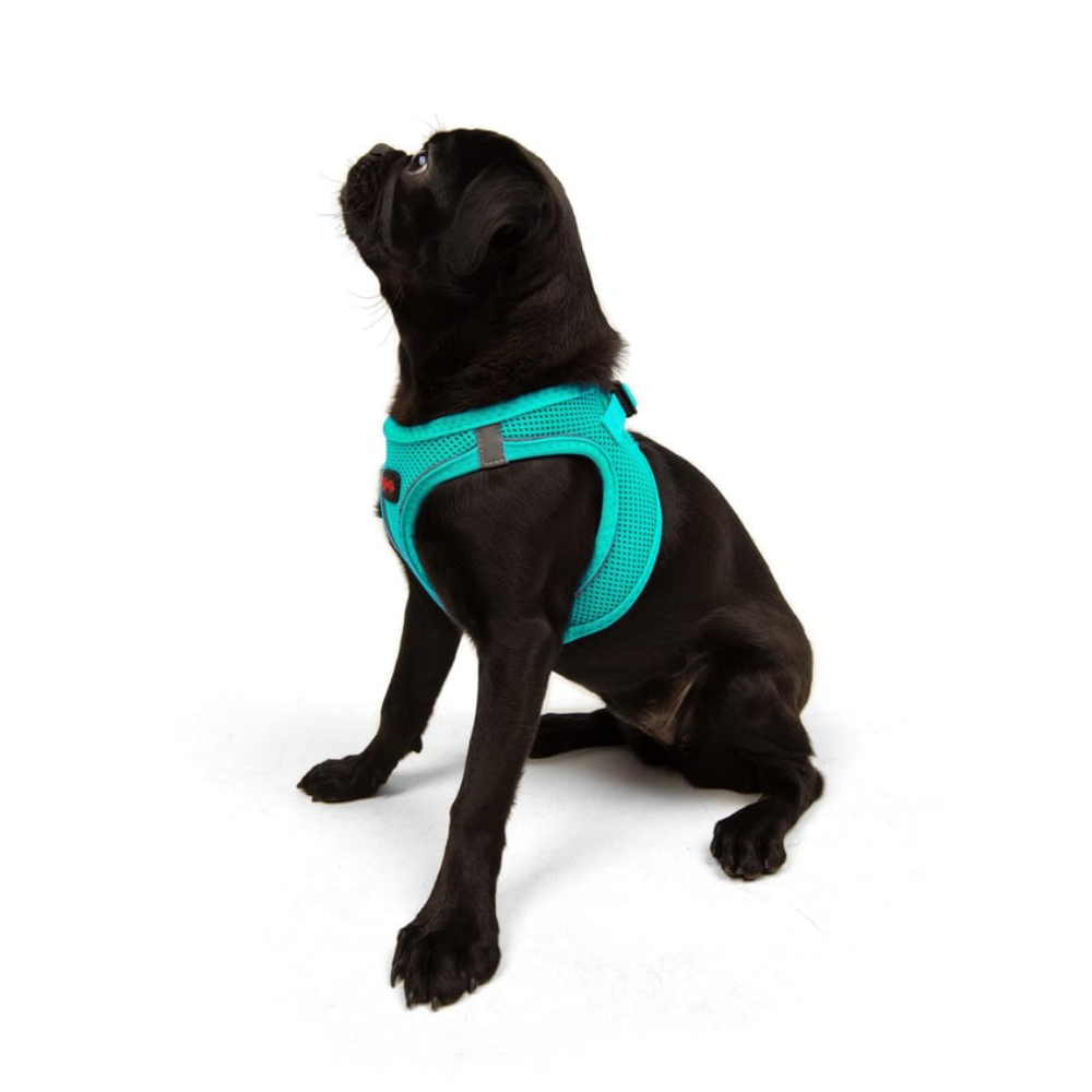 TailPetz Airmesh Ocean Köpek Göğüs Tasması M