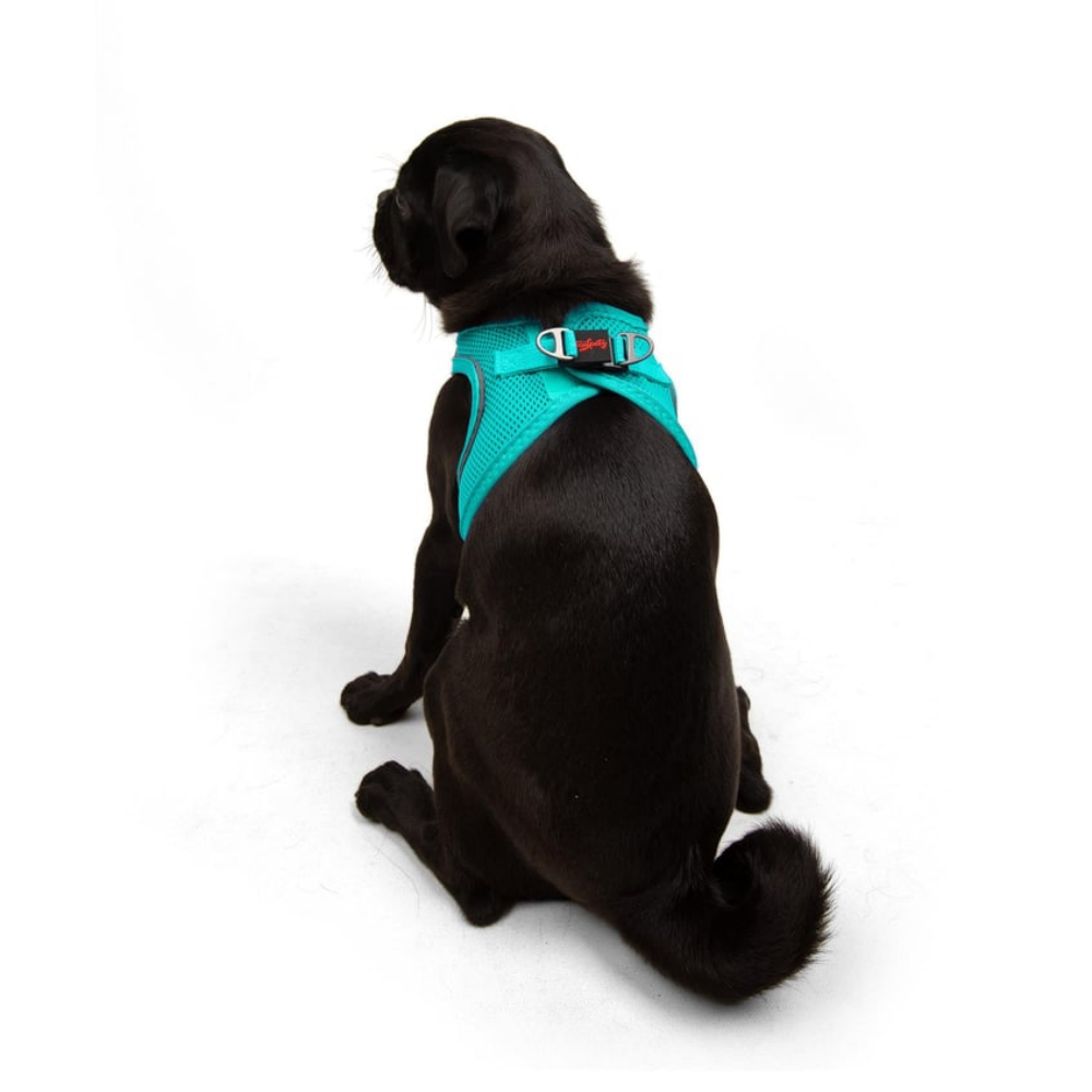 TailPetz Airmesh Ocean Köpek Göğüs Tasması M