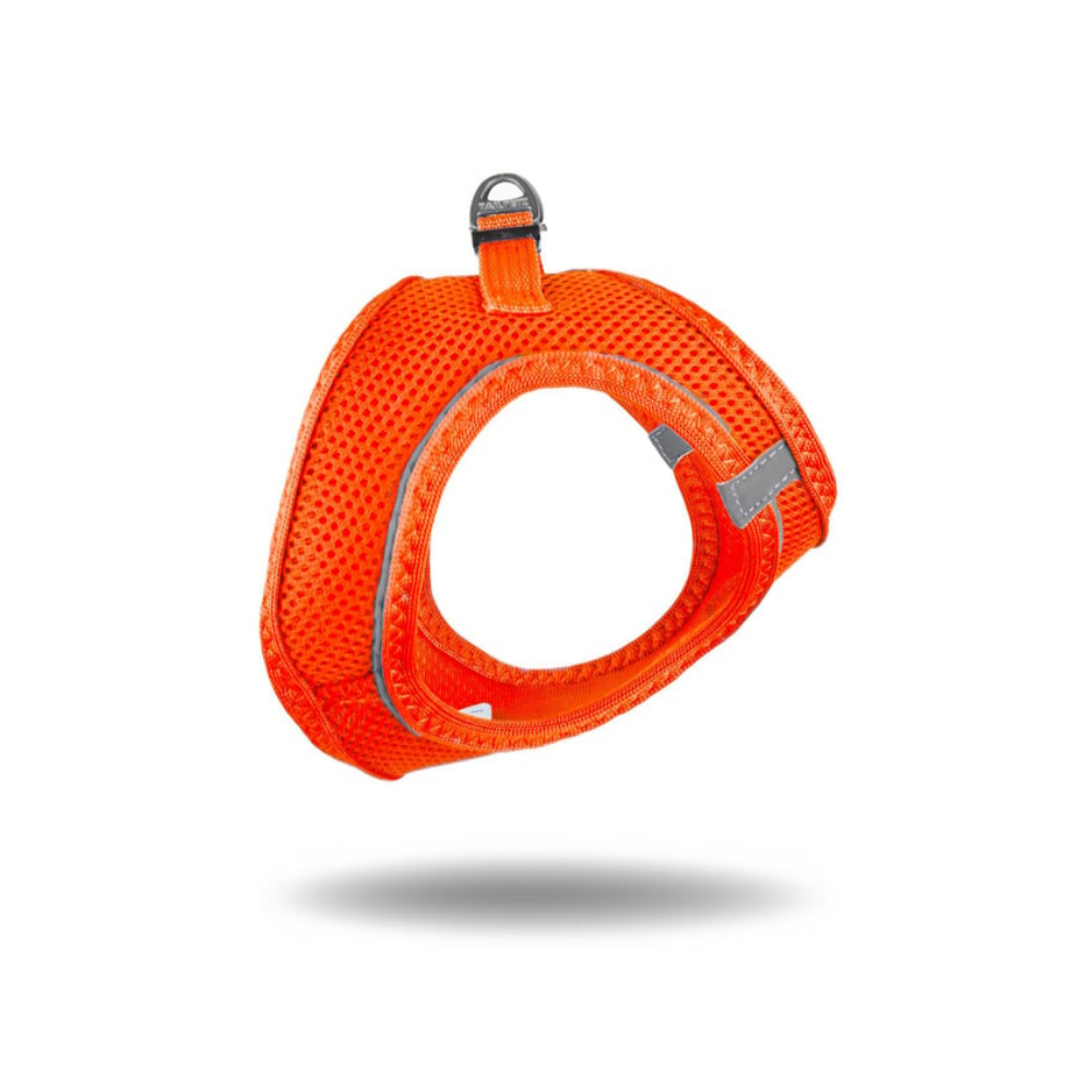 TailPetz Airmesh Neo Orange Köpek Göğüs Tasması M