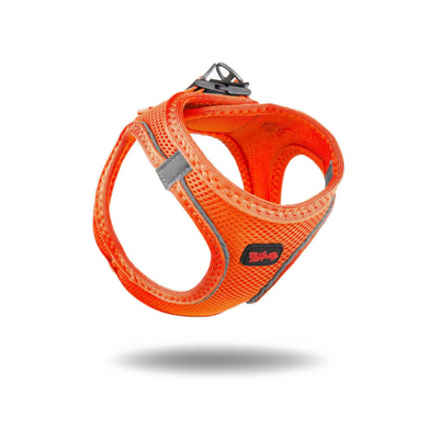 TailPetz Airmesh Neo Orange Köpek Göğüs Tasması M