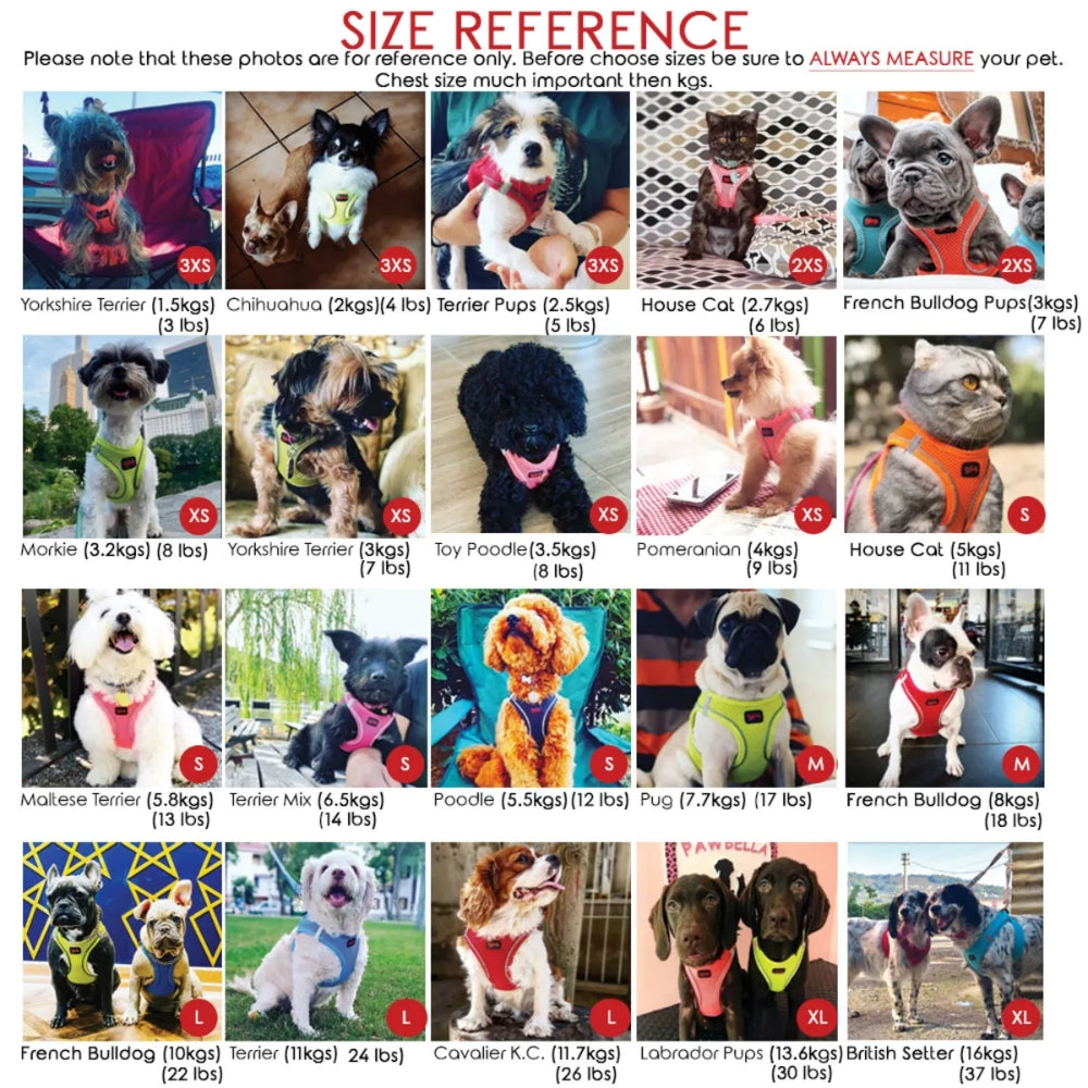 Tailpetz Airmesh Harness Leopard Köpek Göğüs Tasması S