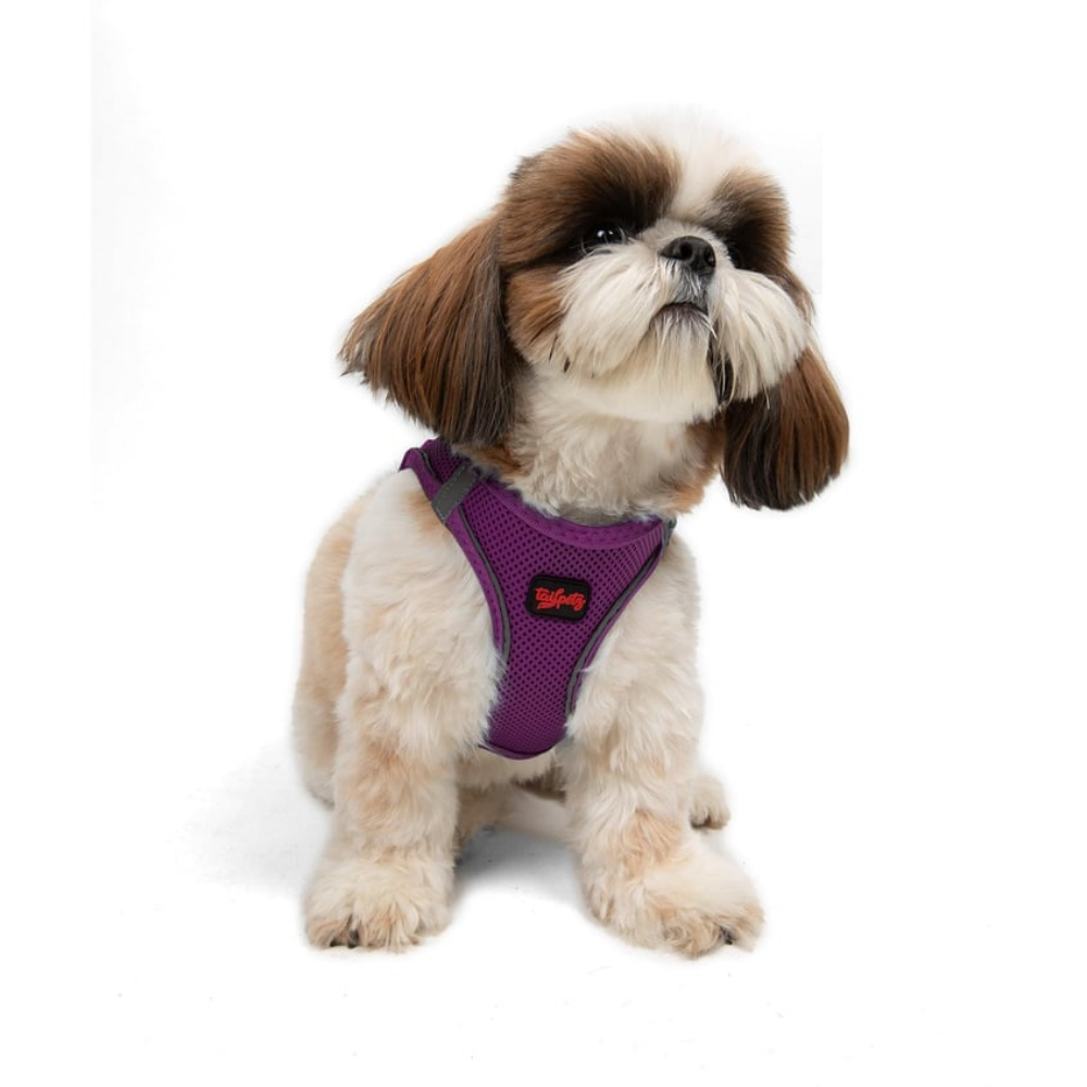 TailPetz Airmesh Purple Köpek Göğüs Tasması S