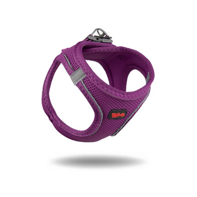 TailPetz Airmesh Purple Köpek Göğüs Tasması S