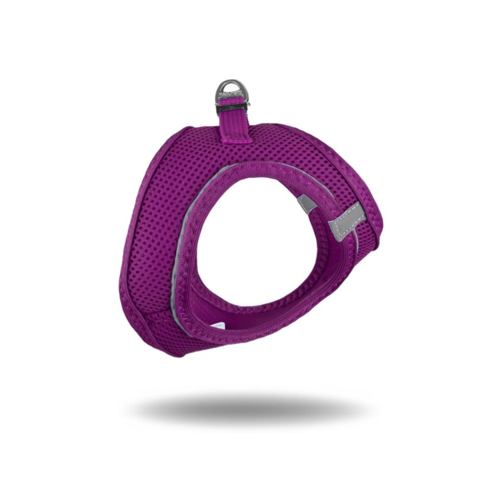 TailPetz Airmesh Purple Köpek Göğüs Tasması XS